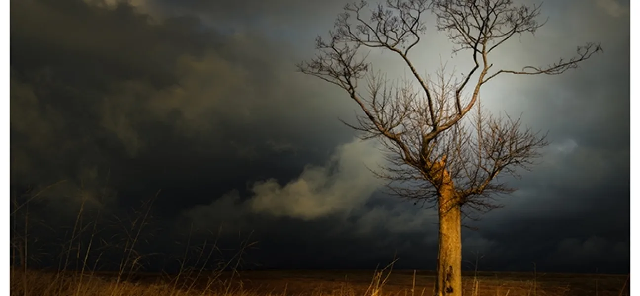 Zbysiu Rodak Photography
