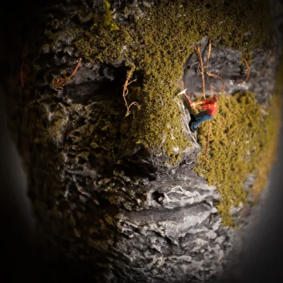 Sharphorizon Gallery Image - 2