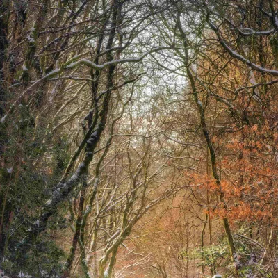 Rambling Around Rochdale Gallery Image - 2